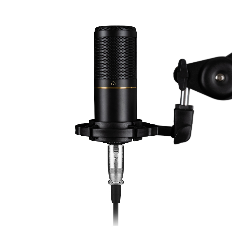 Streaming Mic Condenser - Microphone à condensateur XLR professionnel pour