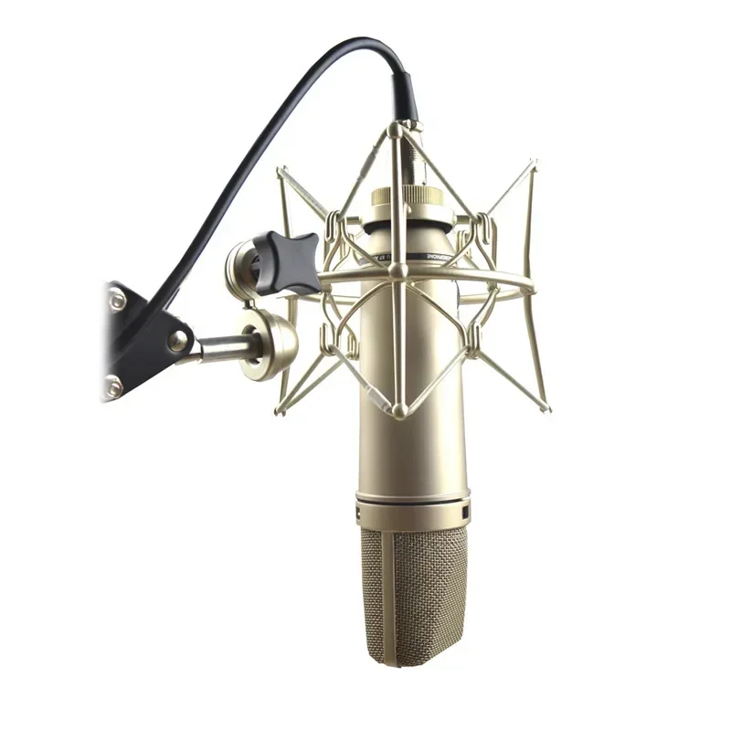 2026 haut de gamme 48V enregis - Streaming Mic Condenser avis et prix